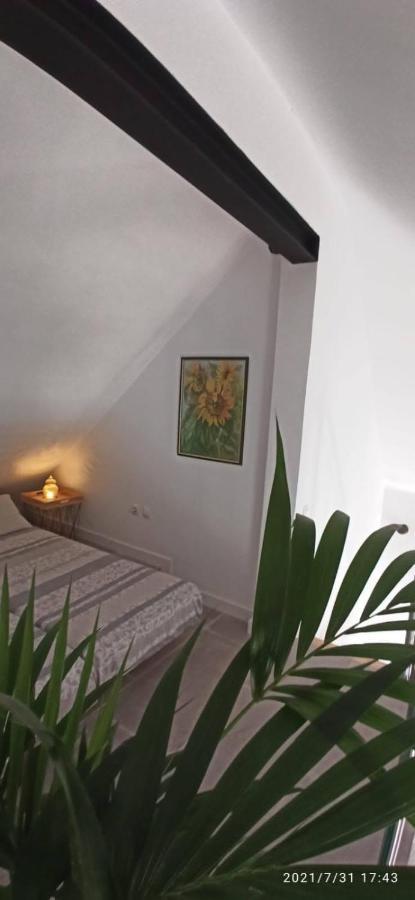 La Casita De Juani,Leoeser 阿格特 外观 照片